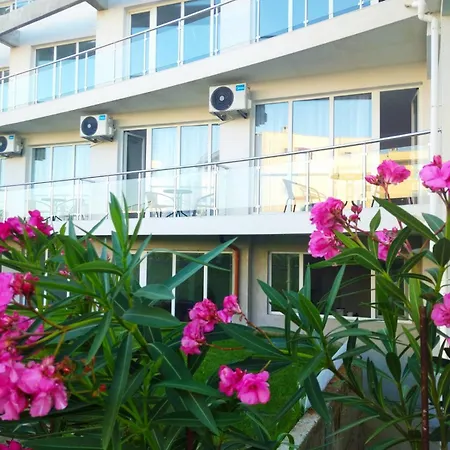 диди سوزوبول